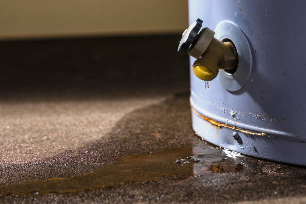 Best Carpet water damage restoration  in Cypress Quarters, FL