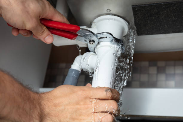 Best Flood damage cleanup  in Cypress Quarters, FL