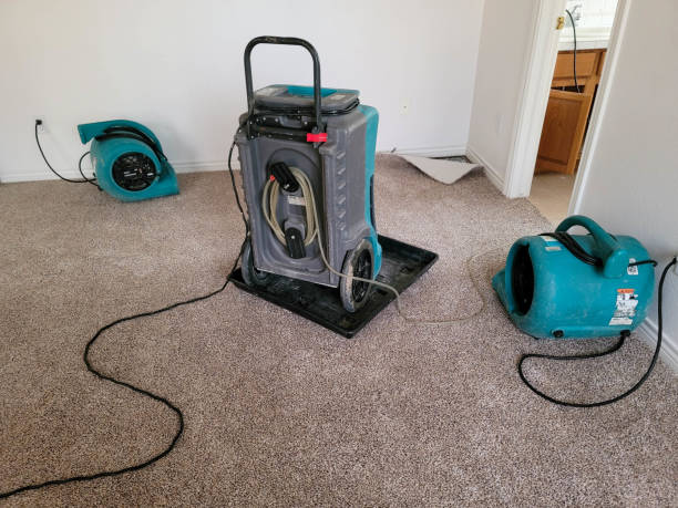 Best Flood restoration services  in Cypress Quarters, FL