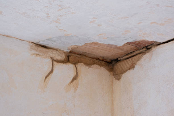 Best Ceiling water damage repair  in Cypress Quarters, FL