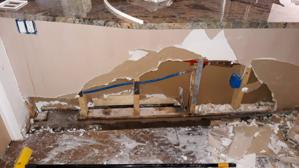 Best Water damage contractors near me  in Cypress Quarters, FL