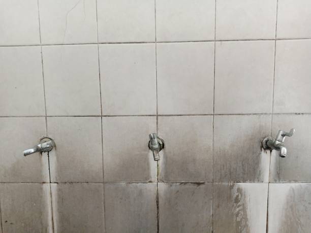 Best Ceiling water damage repair  in Cypress Quarters, FL