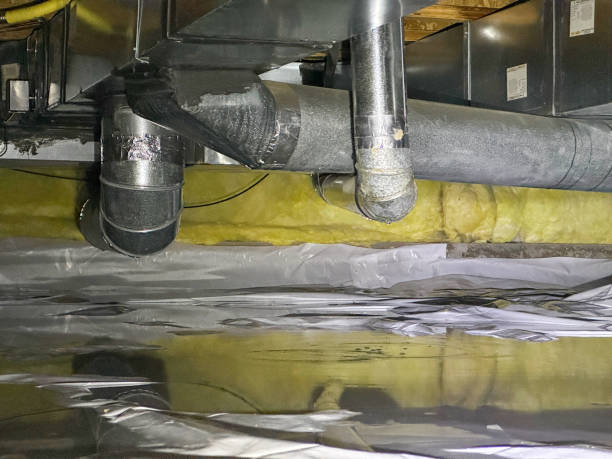 Best Water damage cleanup near me  in Cypress Quarters, FL