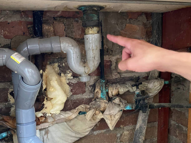 Best Flooded house restoration  in Cypress Quarters, FL
